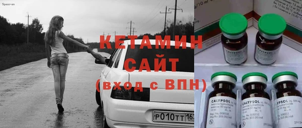сатива Бородино