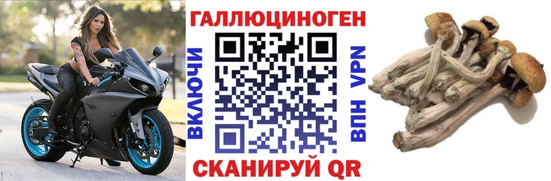 купить цена OMG ONION Псилоцибиновые грибы GOLDEN TEACHER Бахчисарай